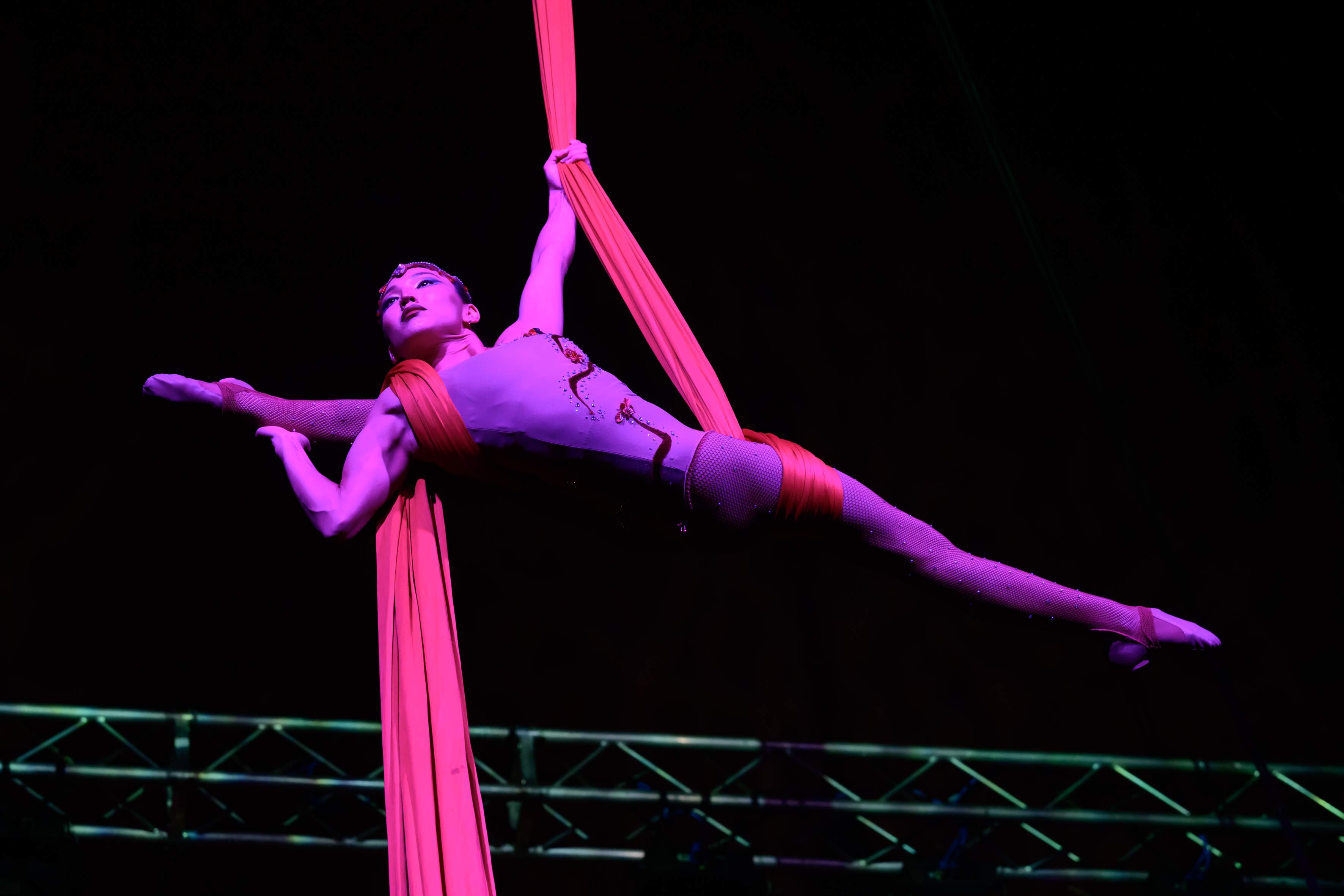 GeeGee Aerial Silks 2